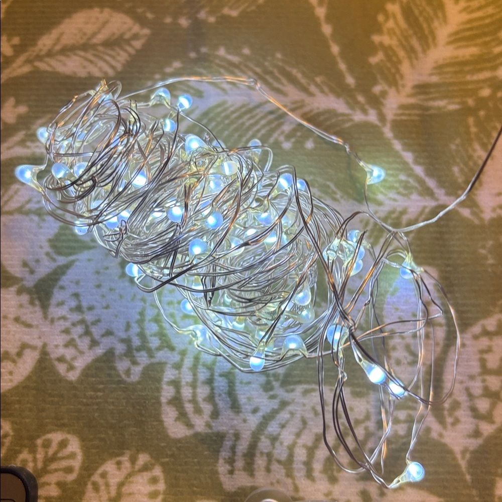 ✨12ft String Lights with Battery Pack
